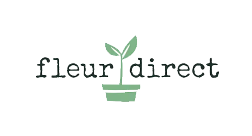 img-logo-fleurdirect